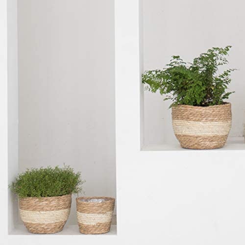 La Jolíe Muse Natural Seagrass Planter Basket (3-Pack), Plant Pot Cover, Indoor Plant Pots (10 Inch)