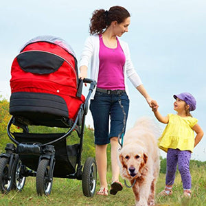 [Strong] Dog Leash with Bonus Free Waste Bag Dispenser – Thick Padded Dual Handles, Includes Poop Bags & 100% Nylon (6ft. Long) – Comfortable Grip – Ideal for Large, Medium and Small Dogs
