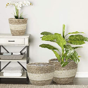 La Jolíe Muse Natural Seagrass Planter Basket (3-Pack), Plant Pot Cover, Indoor Plant Pots (10 Inch)